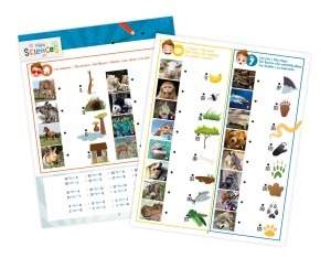 BUKI Latarka 3 w 1 - Mini Sciences