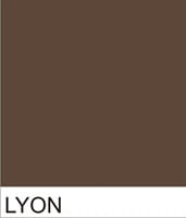 Lyon.jpg